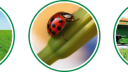 JOST Logo