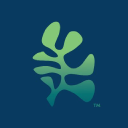 New Wave Foods Logo