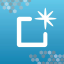 BloomBoard Logo