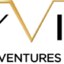 Skyview Ventures Logo