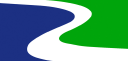 The Riverside Company Logo