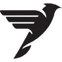 Black Swift Logo