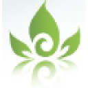 First Ray Logo