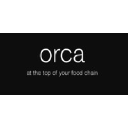 Orca Marketing Logo