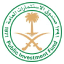 Public Investment Fund Logo
