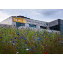 Meath County Council Logo