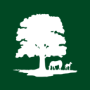 Ballylinch Stud Logo