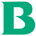 Braun Logo