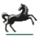 Lbg+ Logo