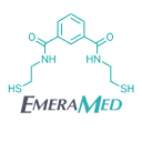 EmeraMed Limited Logo