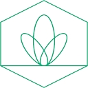Balance Logo