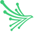 Black Kite Logo