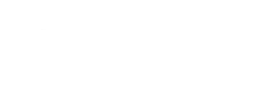 Seedstars Perks