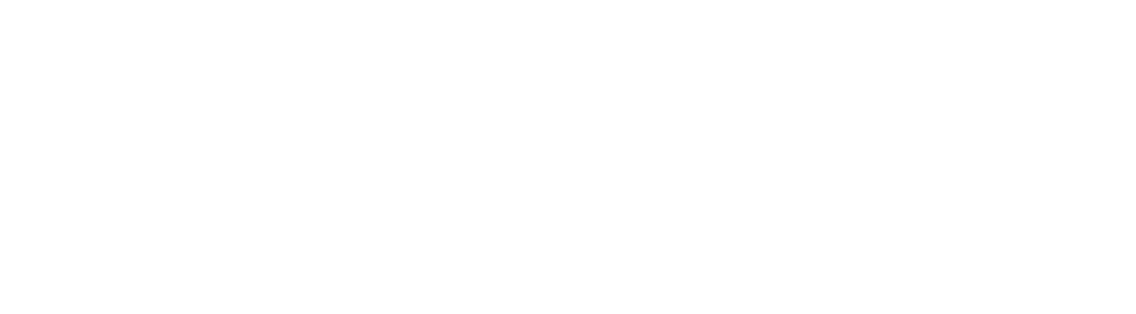 ScaleNL