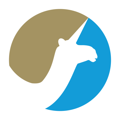 10 Hours - Software Implementation Logo