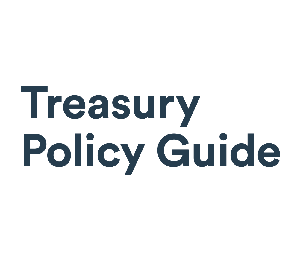 Free Treasury Policy Guide Logo