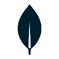 $5,000 in Startup Credits for MongoDB Atlas and Voyage AI, and more Logo