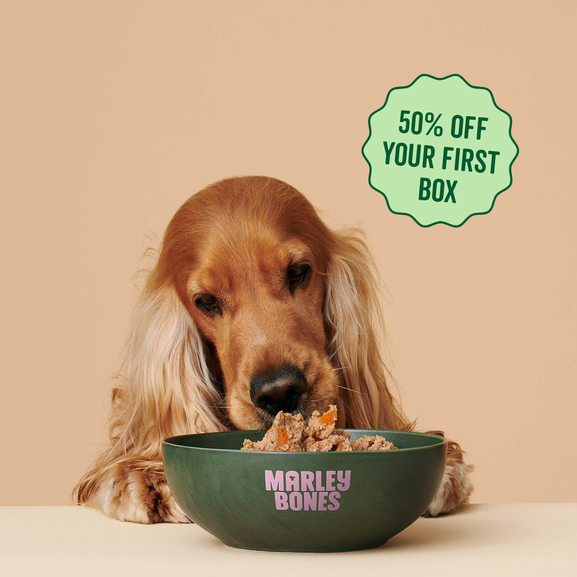 50% OFF your first box when you start a subscription Logo
