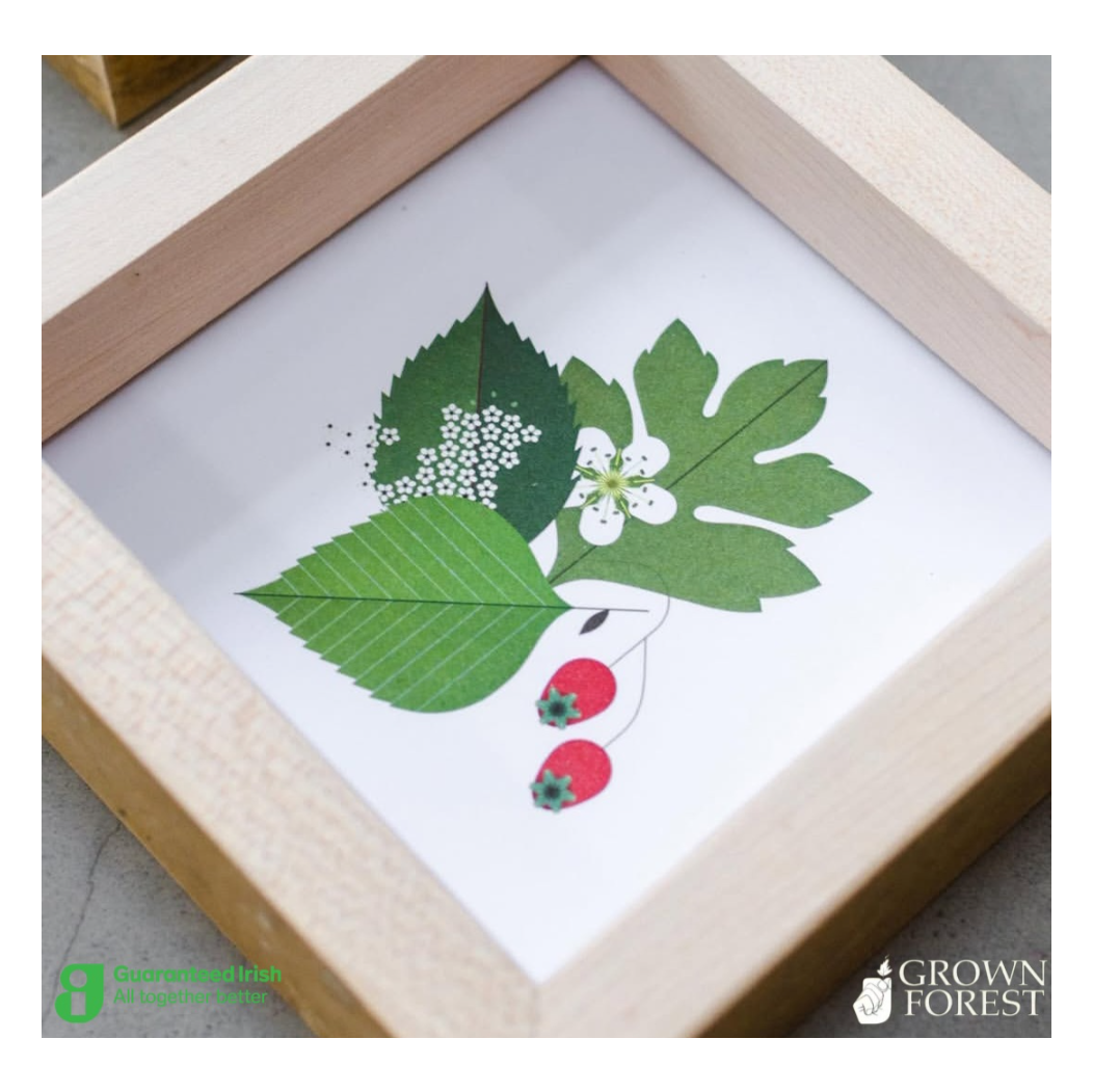 Plant More Together Logo