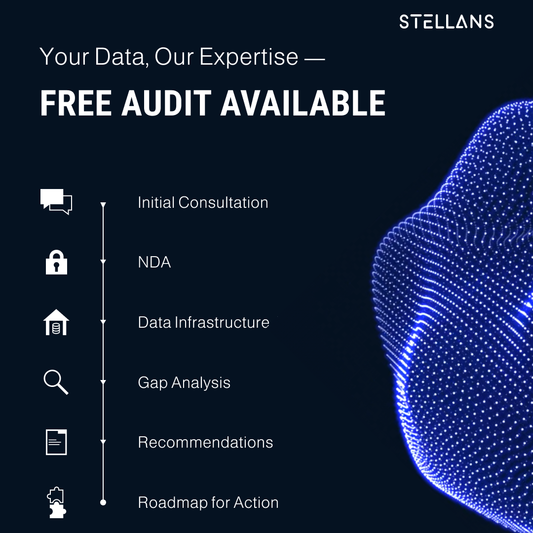 Free Data Audit Logo