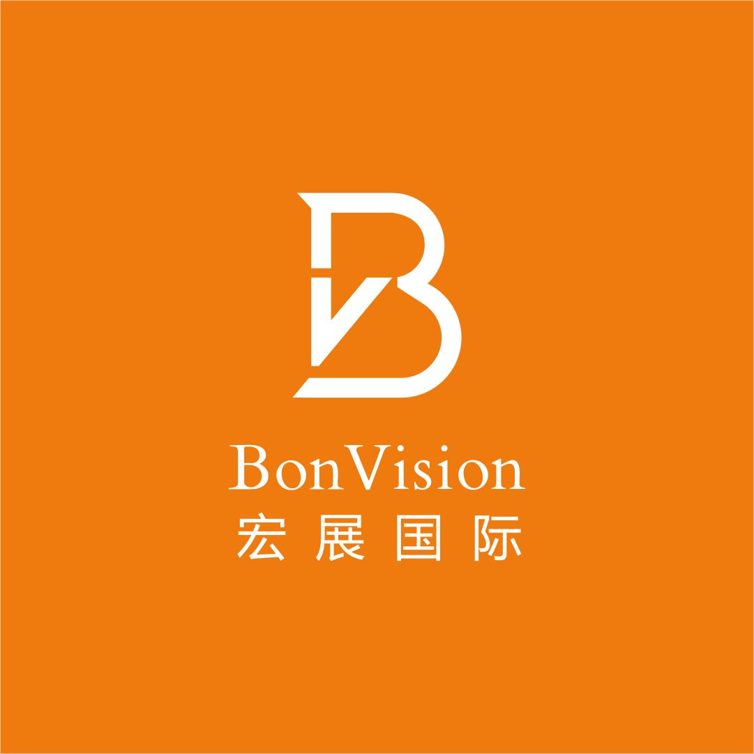 BonVision International Appraisals Limited 宏展國際評估有限公司 | Banking, Finance & Insurance Logo