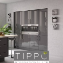 TIPPO INTERNATIONAL LTD Logo