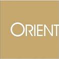 Orient Securities Limited | Financial Services /FinTech Logo