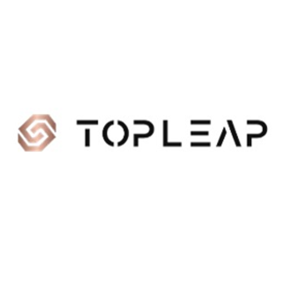 Topleap Financial Group Limited | Business & Professional Services Logo