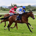 ARDMORE FARM SUPPLIES LTD Logo