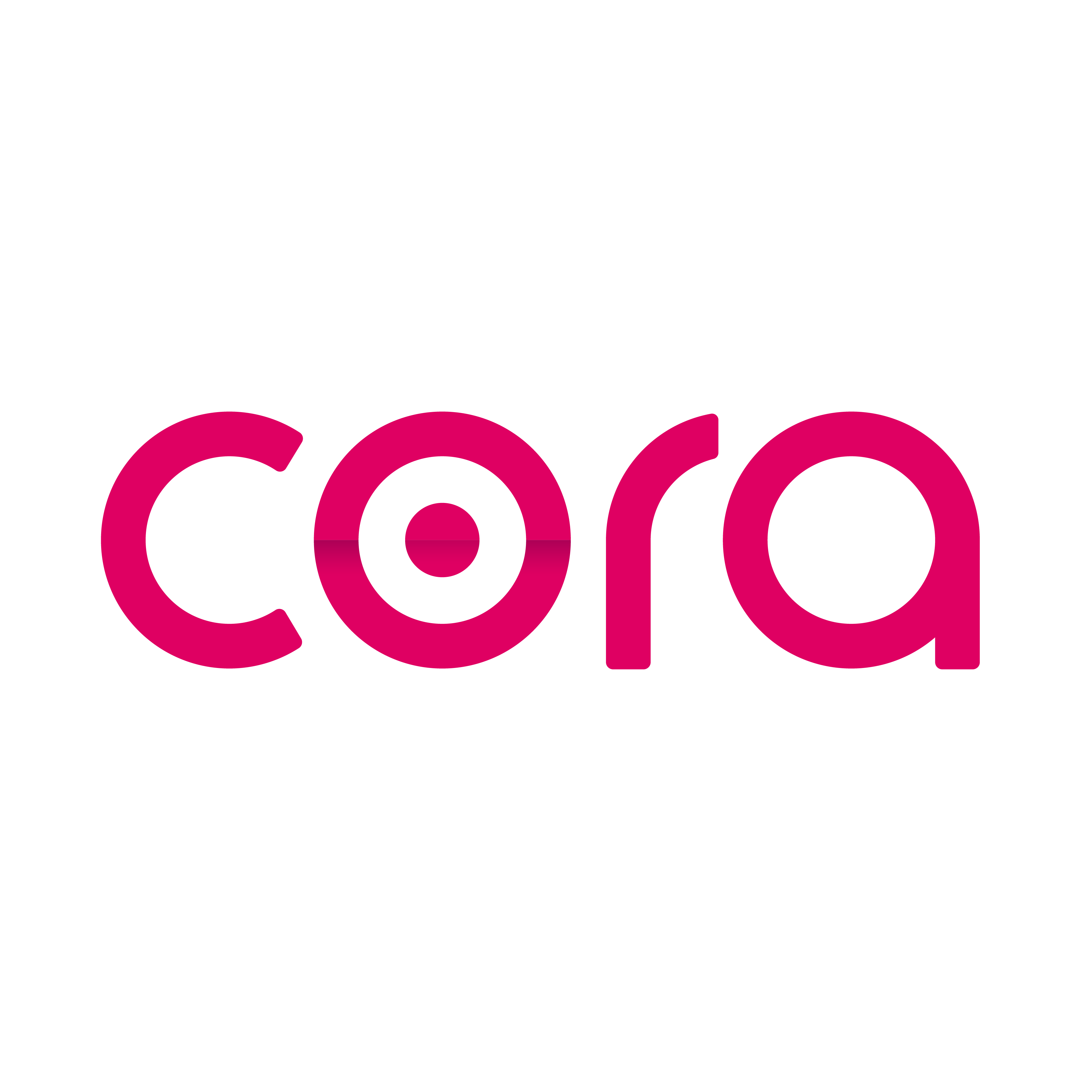 CORA SYSTEMS LTD | Enterprise Software Logo