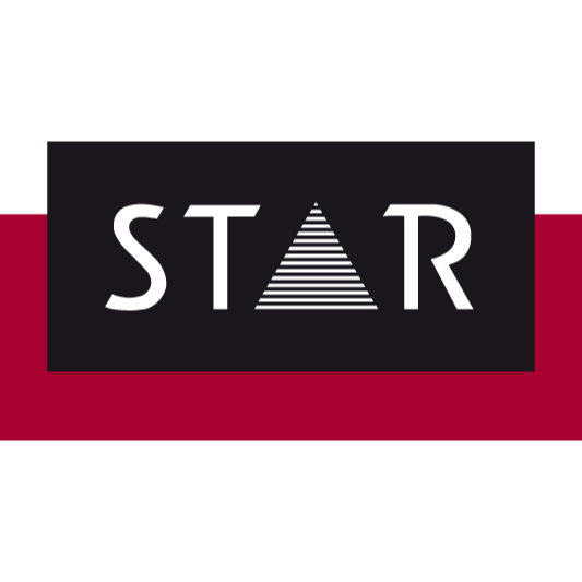 STAR Translation Services | Professional Services Logo