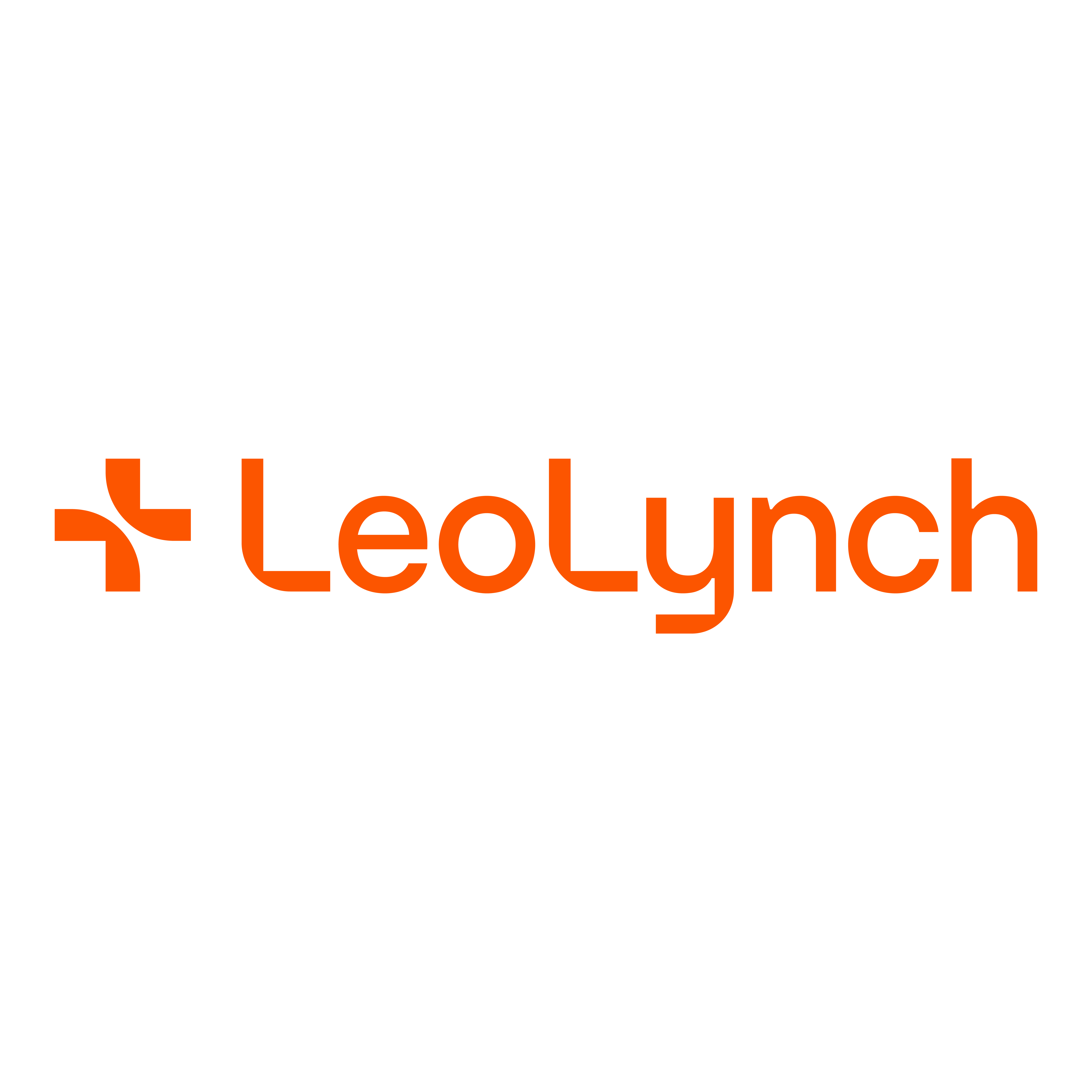 Leo Lynch | Construction Services Logo