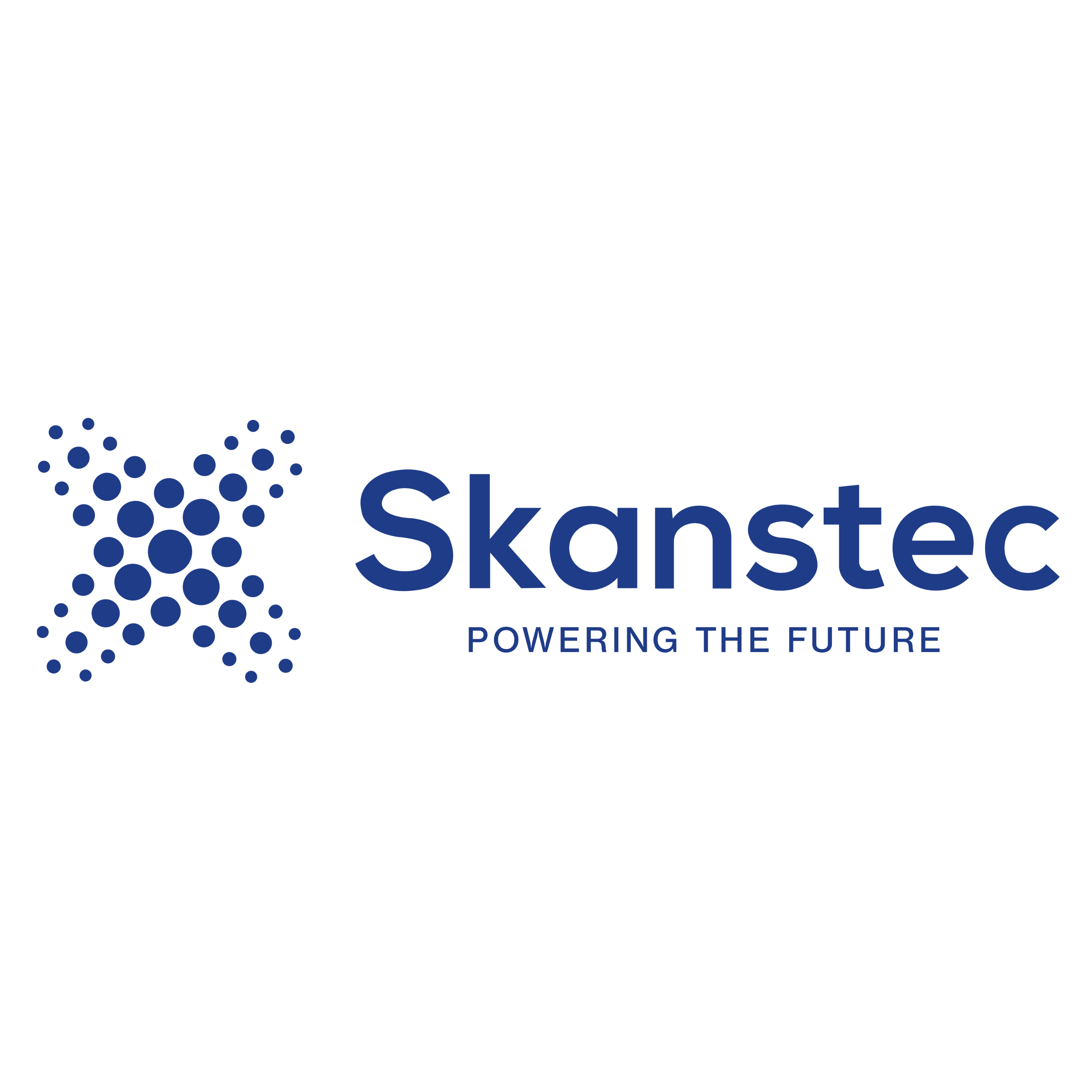 SKANSTEC ENGINEERING LIMITED | Construction Services Logo