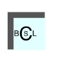 Brandon Consulting Services Logo