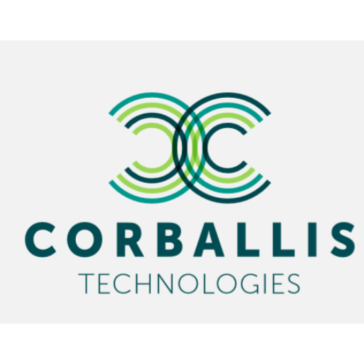Corballis Technologies | Consultancy Logo