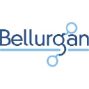 BELLURGAN PRECISION ENGINEERING LTD | Construction Services Logo