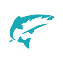 SALMON SOFTWARE LTD | Fintech Logo