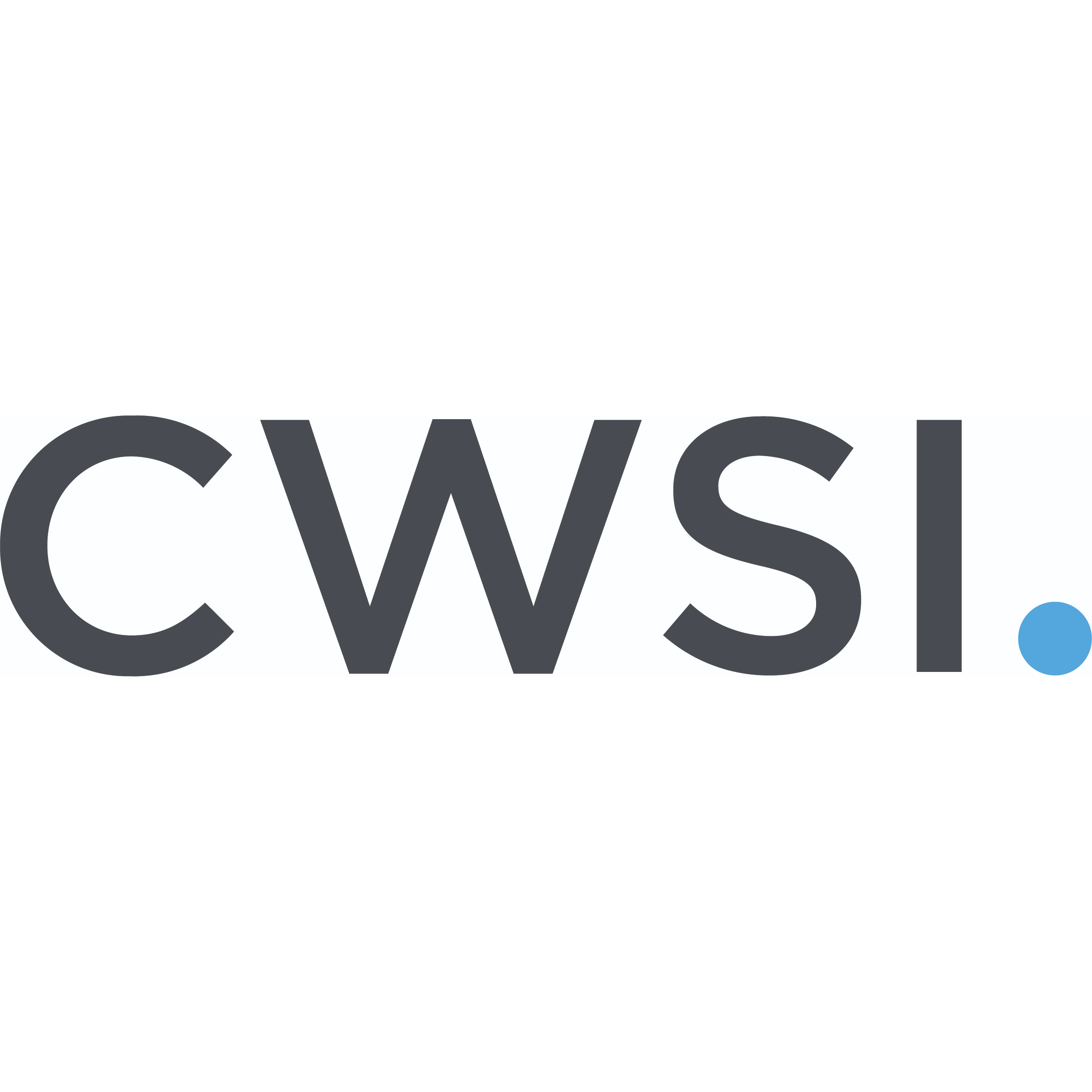 CW SYSTEMS INTEGRATION LTD | Cybersecurity Logo