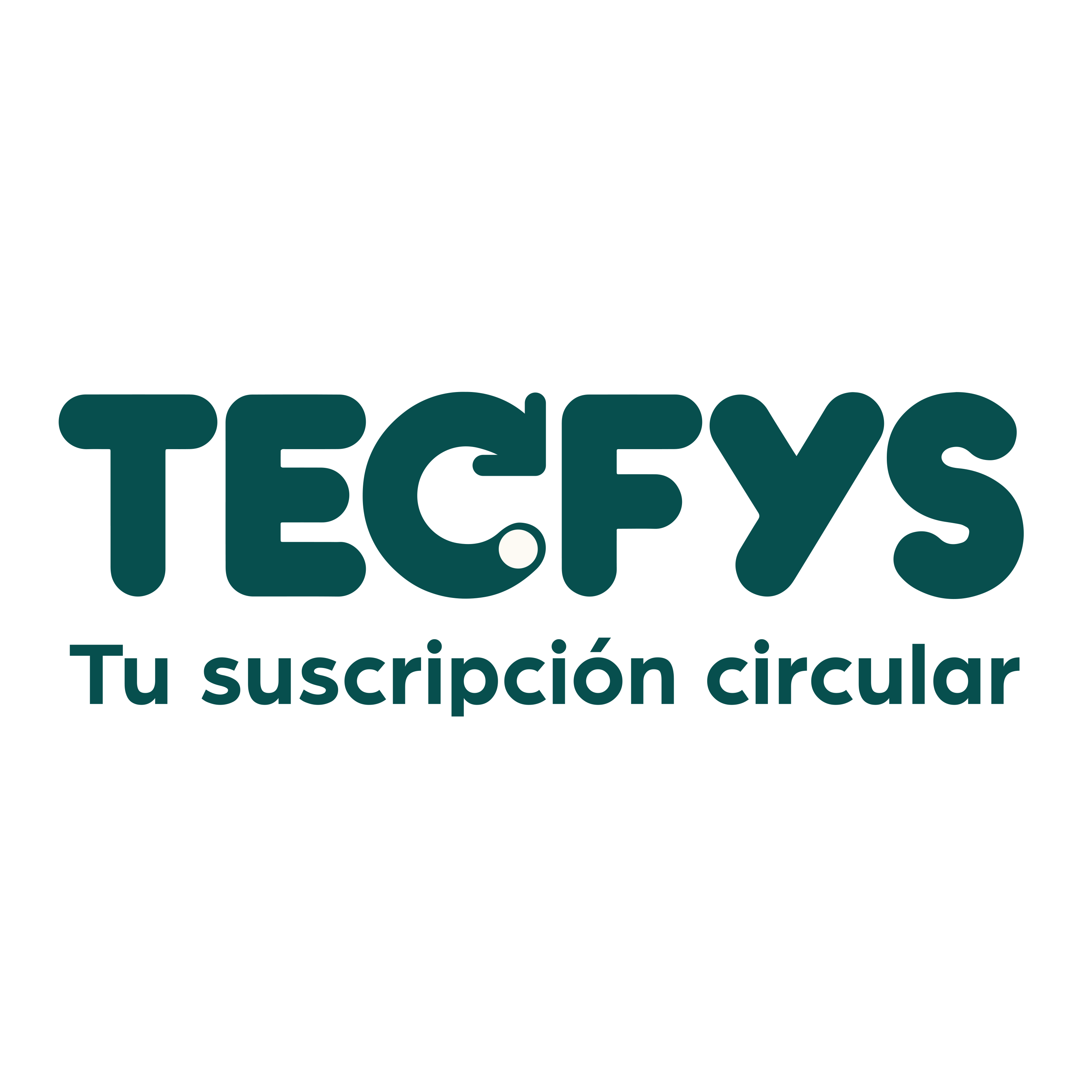TECFYS | Technology / Software Logo