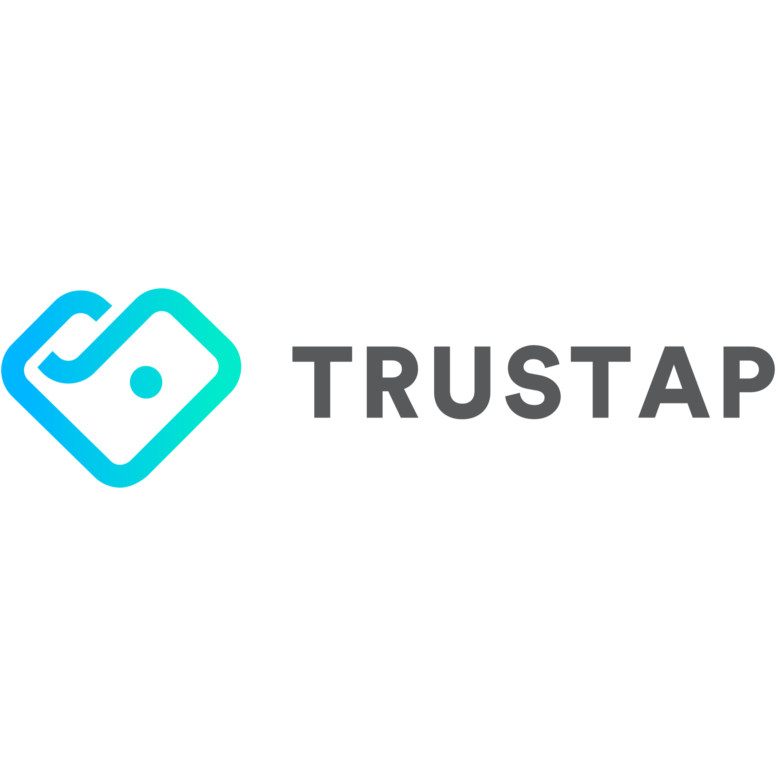 TRUSTAP LIMITED | Enterprise Software Logo