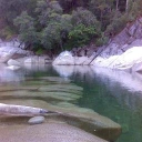 Nevada County Economic Resource Council Logo