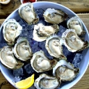 Apalachicola Bay County CC Logo