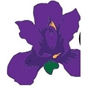 Griffin/Spalding CC Logo