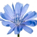 Greater Bluefield CC Logo