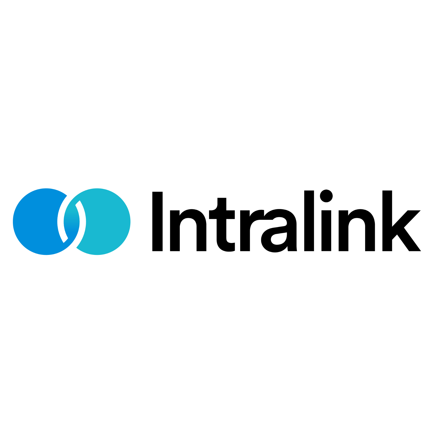 Intralink Group Logo