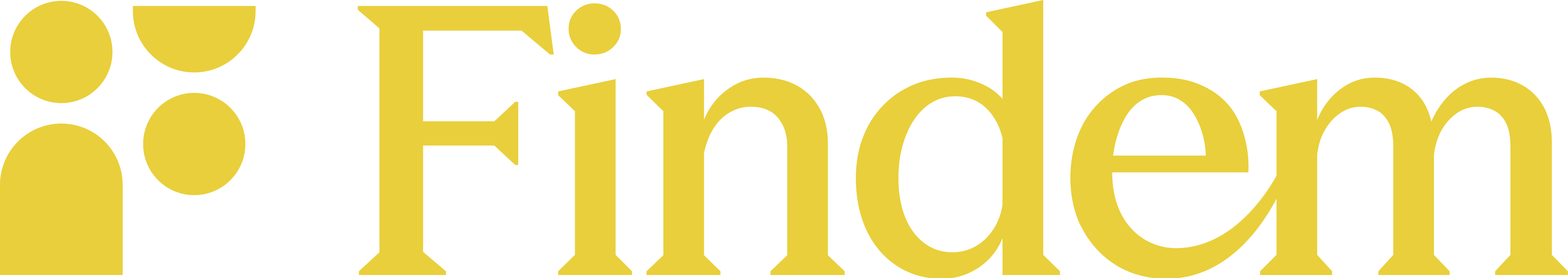 Findem Logo