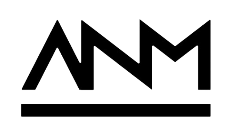 ANM & Co. Logo
