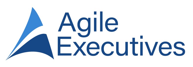 Agile Executives | Consulting Services Logo