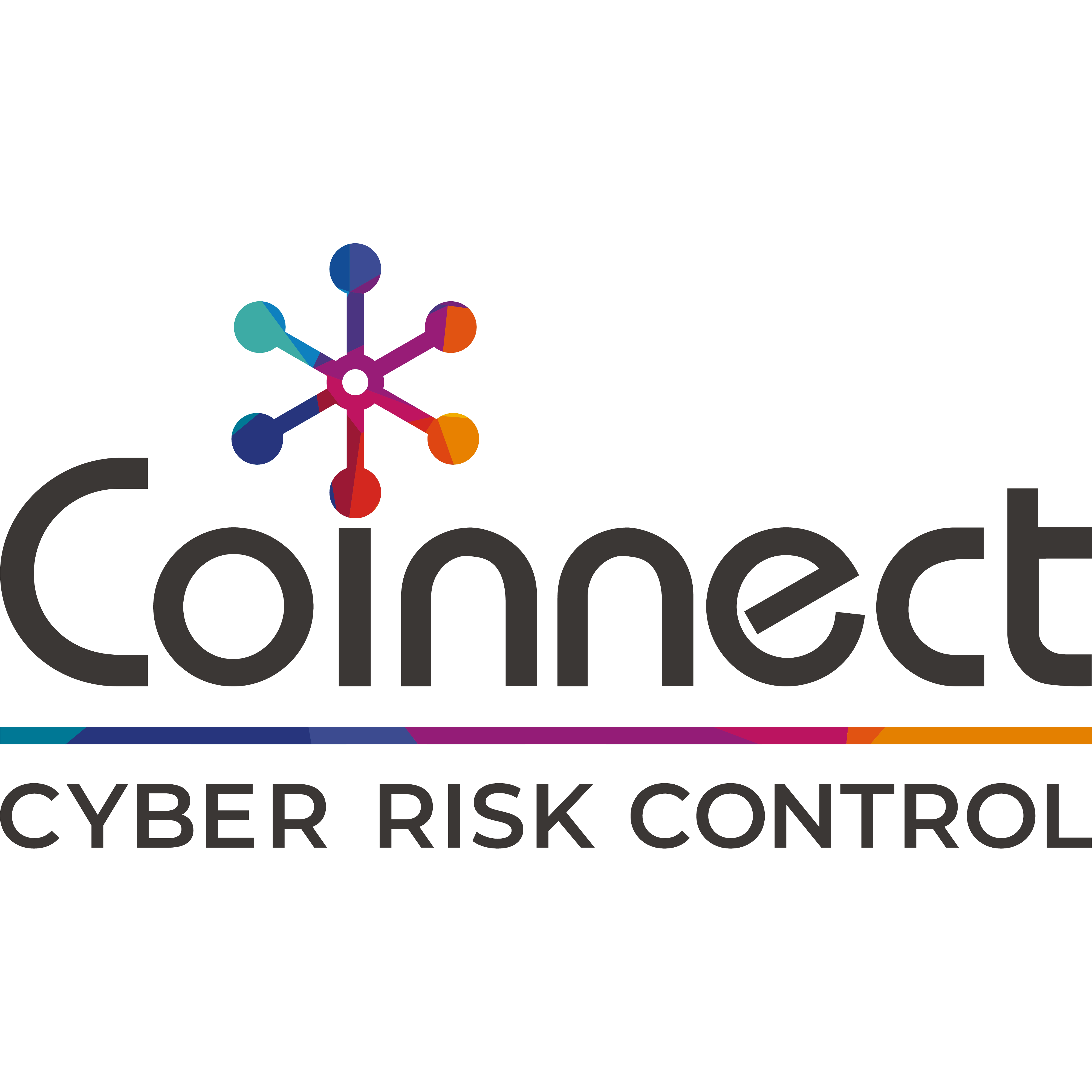 Coinnect - Cyber Risk Control | IT and Software Solutions Logo