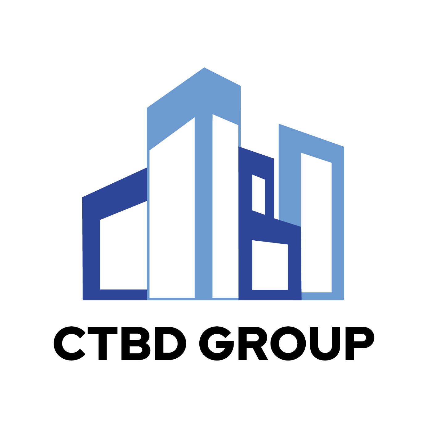 City Business Dynamic Company Limited (CTBD Group) | Business & Professional Services Logo